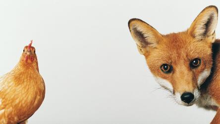 مساعدة الطرف الآخر على حفظ ماء الوجه في المفاوضات