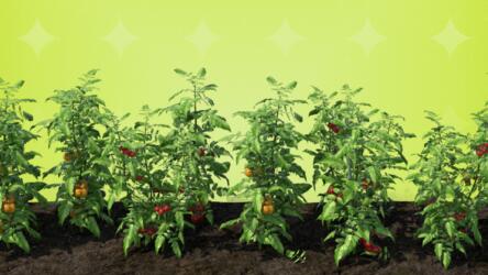 المكافحة الحيوية