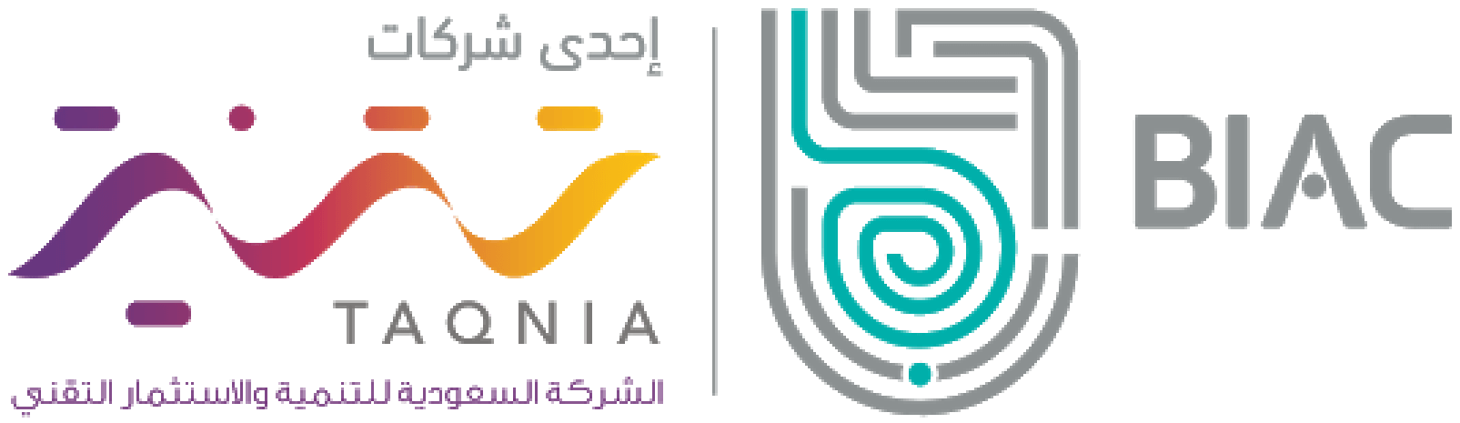 شركة بياك