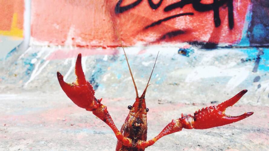 السلوك العدواني في مكان العمل