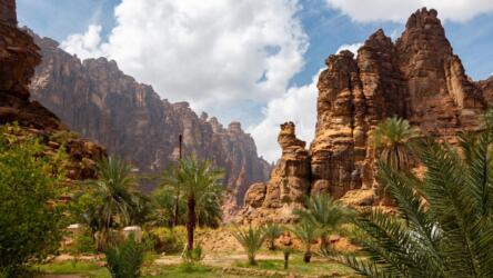 مبادرات البيئة السعودية