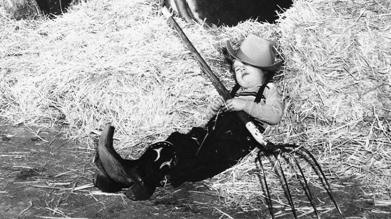 الأصدقاء والسيرة المهنية