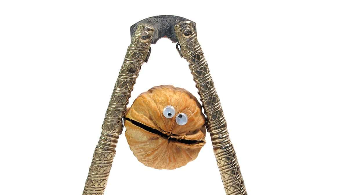 كيف تتفادى التورط في صراع بين مديرك ومديرِ مديرك؟