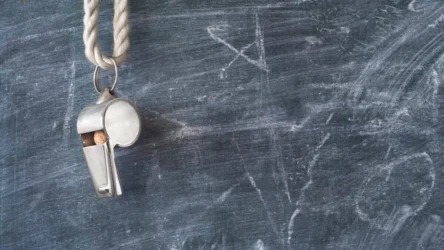 مبادئ الإدارة