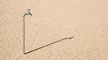 القدرة على الإبداع