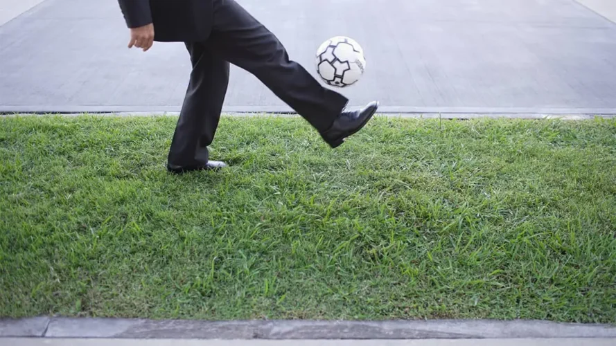 الجهد المستقطب