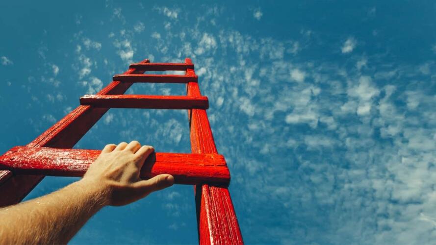 ذروة الحياة المهنية