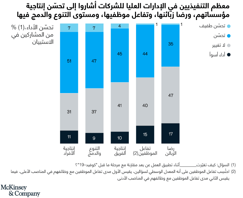 مستوى التنوع والدمج في الشركات