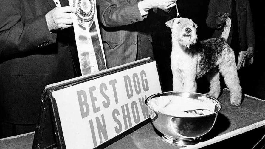 تخلص الشركات من أخطائها القديمة