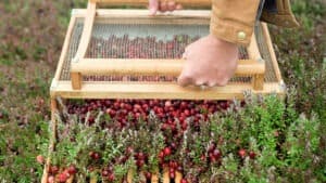 أدوات رقمية تساعد على زيادة الإنتاجية