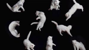 أسلوب مرن لتغيير الإدارة