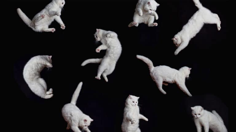 أسلوب مرن لتغيير الإدارة