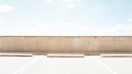 إدارة أصحاب المهارات