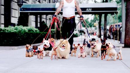 كيف أترك وظيفتي لمتابعة حلمي