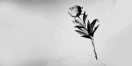 إيقاف التحرش في أماكن العمل