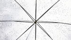 الآثار التجارية لاتفاق درع الخصوصية