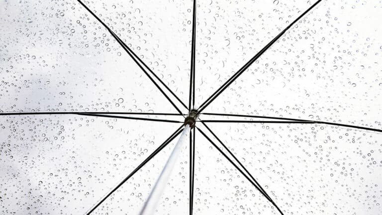 الآثار التجارية لاتفاق درع الخصوصية