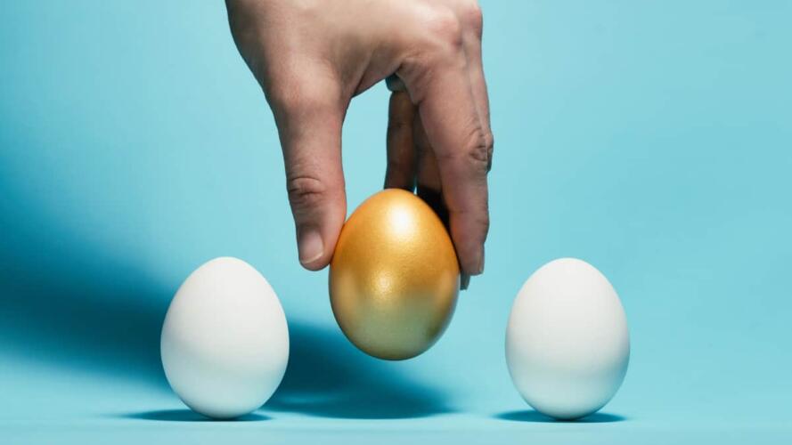 توظيف أفضل المواهب