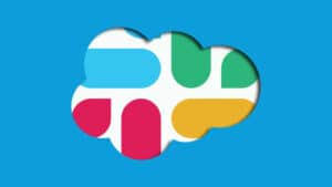 استراتيجيات شركات المنتج الواحد