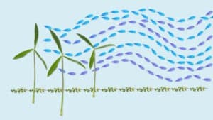 مخاطر التغير المناخي