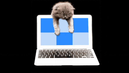 إجهاد الاجتماعات الافتراضية