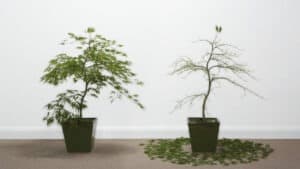 الاحتراق الوظيفي المرتبط بالجائحة