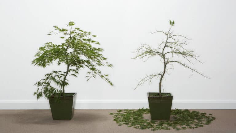 الاحتراق الوظيفي المرتبط بالجائحة