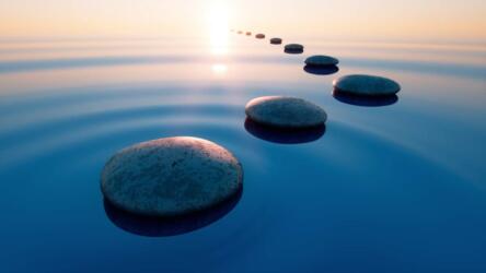 الانحيازات السلوكية