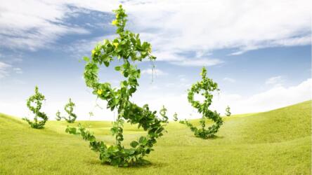 الاستثمار الأخضر