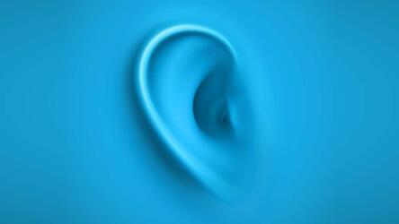 الاستماع الإداري