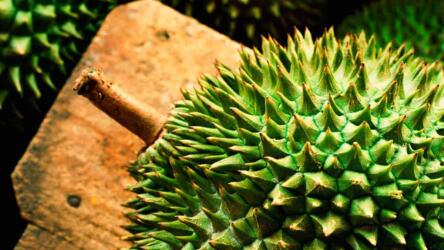 التغلب على الانطباع الأول السيئ 