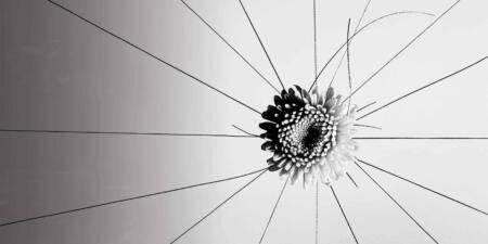 برامج مكافحة التحرش