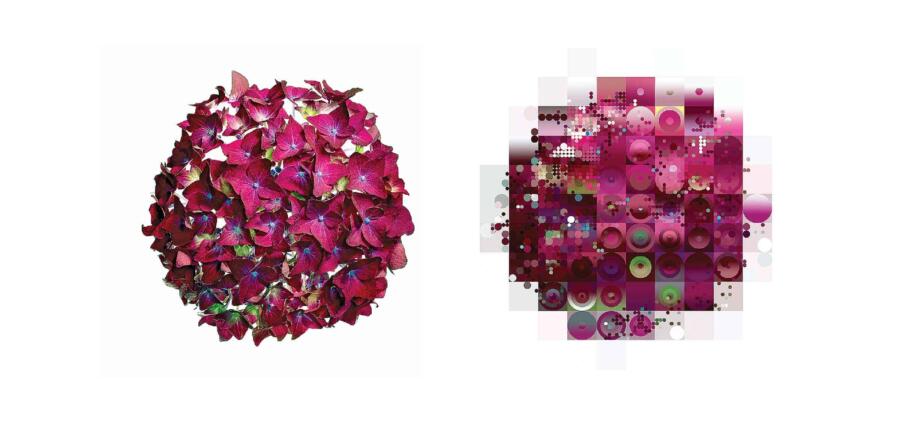 التحول الرقمي المدفوع بالإكتشاف