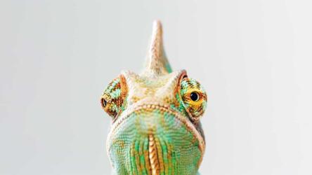 التركيز في العمل