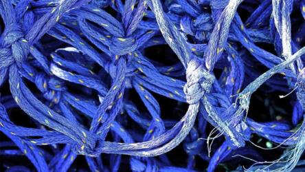 البيع عبر وسائل التواصل الاجتماعي