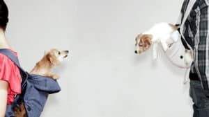 التعاطف يبدأ بالفضول