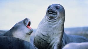 التعامل مع زميل فظ