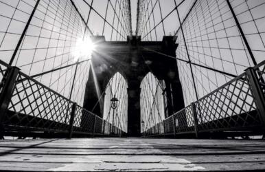 التعلم من المستقبل