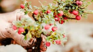 تطوير الذات وإنجاز المهام في العمل