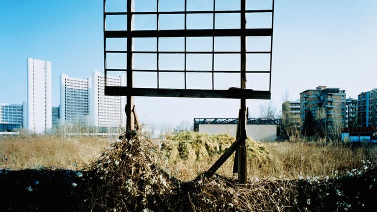 المتفائلون الحازمون والمستقبل