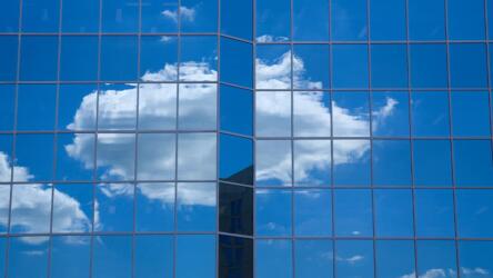 تكيف القادة مع الأوقات العصيبة