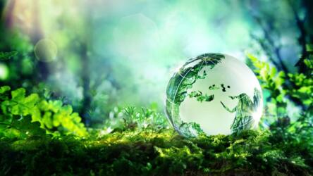 التنمية المستدامة