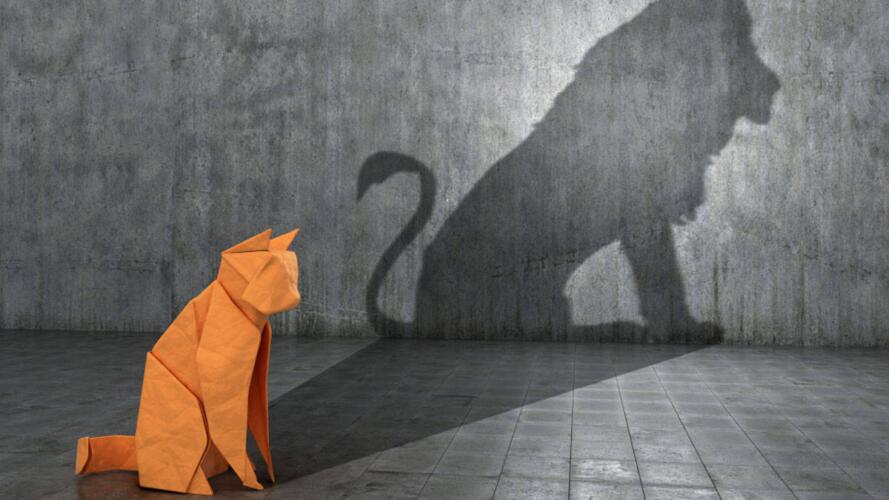 الثقة بالنفس