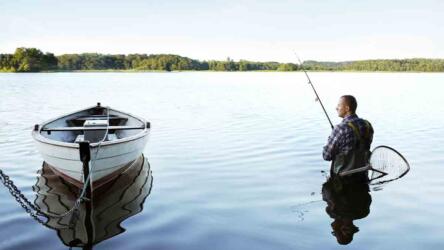 خطوات البحث عن وظيفة