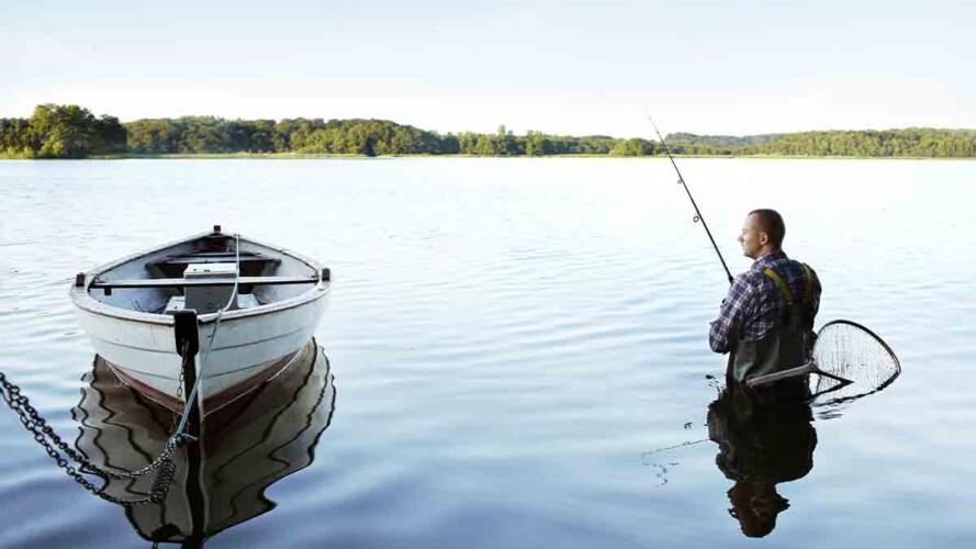 خطوات البحث عن وظيفة