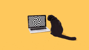 الحفاظ على الحماس في الحجر المنزلي