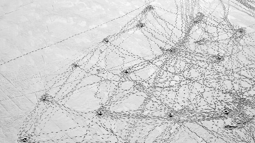 التواصل مع الموظفين الذين تم تسريحهم