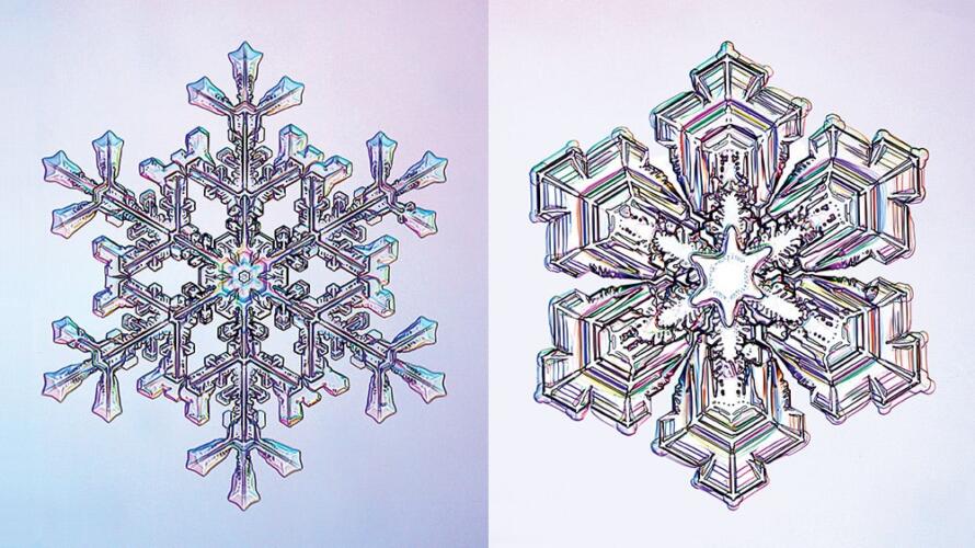 توقع الأفكار