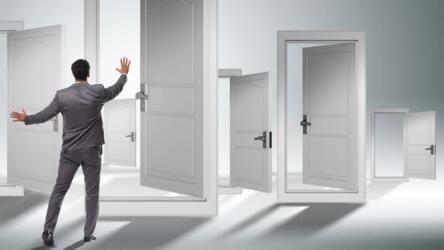 الدخول السلس