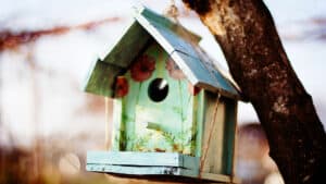 قيادة الشركات الناشئة